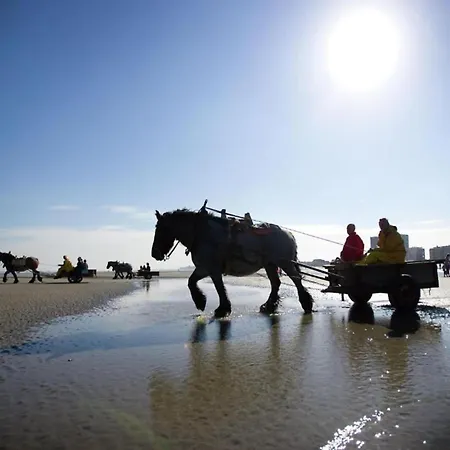 In By The Beach, Cleaning Included Nieuwpoort
